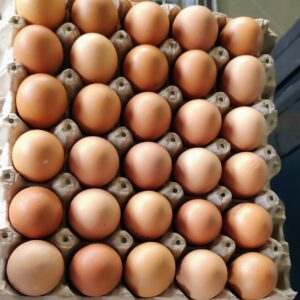 Flat of Eggs